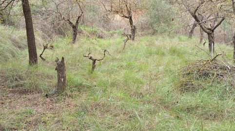 Foto 3 de Terreno en venta en Avinguda Europa, 25, Gelida, Barcelona