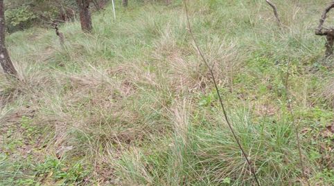 Foto 4 de Terreno en venta en Avinguda Europa, 25, Gelida, Barcelona