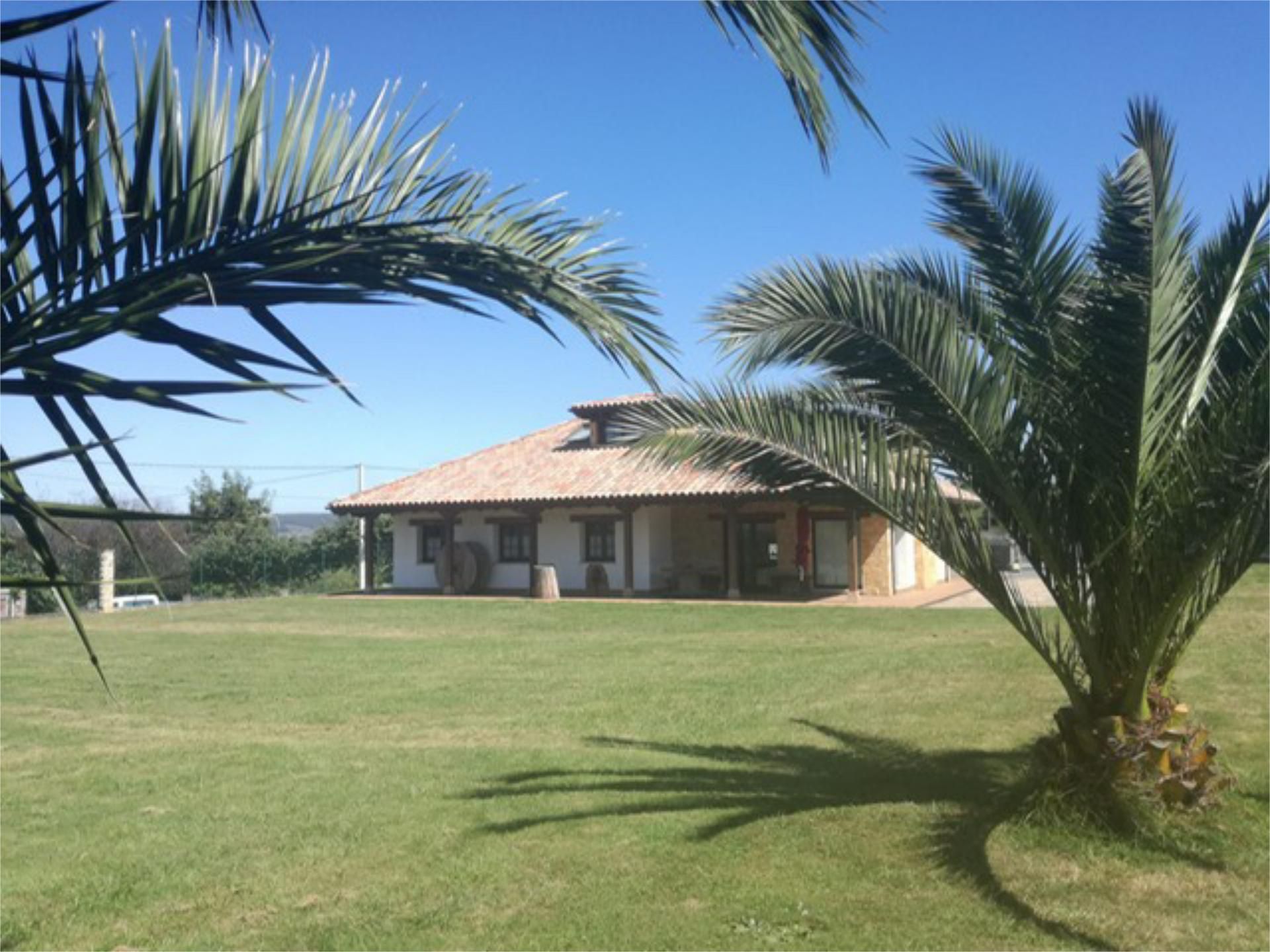 Exterior view of House or chalet for sale in Gijón   with Terrace