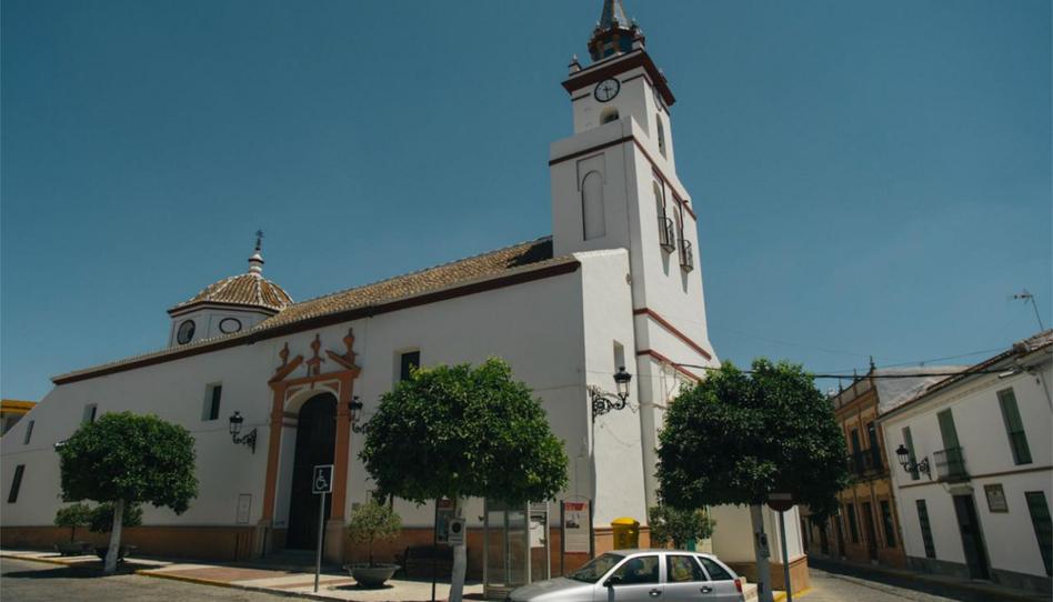 Casa adosada en venta en Plaza Santa Angela de la Cruz, 2, Villanueva del Ariscal, Sevilla - imagen 1 Foto 1 de Casa adosada en venta en Plaza Santa Angela de la Cruz, 2, Villanueva del Ariscal, Sevilla