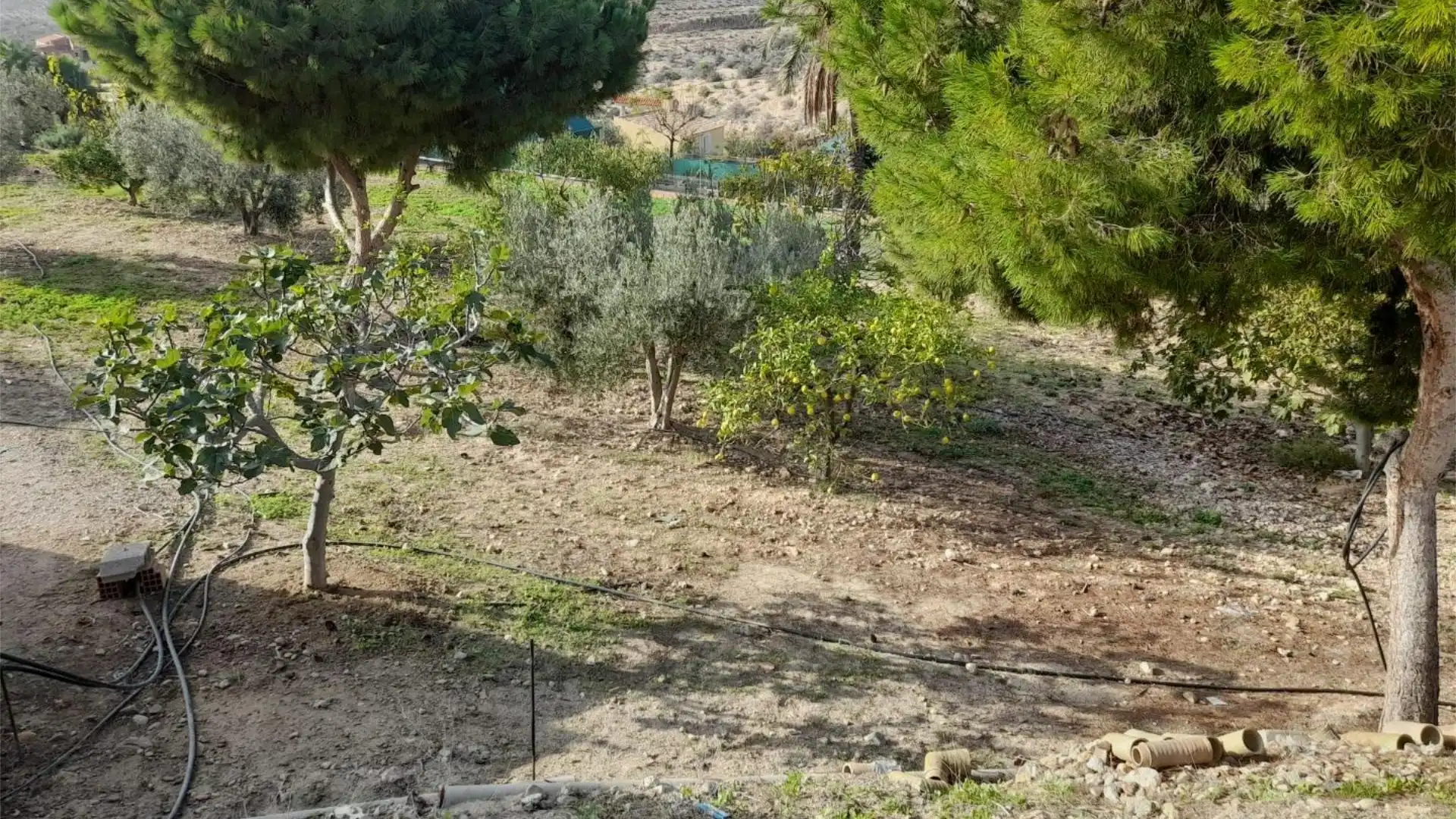 Terreno en venta en Mazarrón