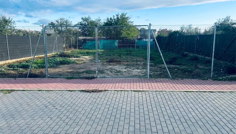 Finca rústica en venda a Calle Lavanda, 118, Espartales, Madrid - imatge 1 Foto 1 de Finca rústica en venda a Calle Lavanda, 118, Espartales, Madrid