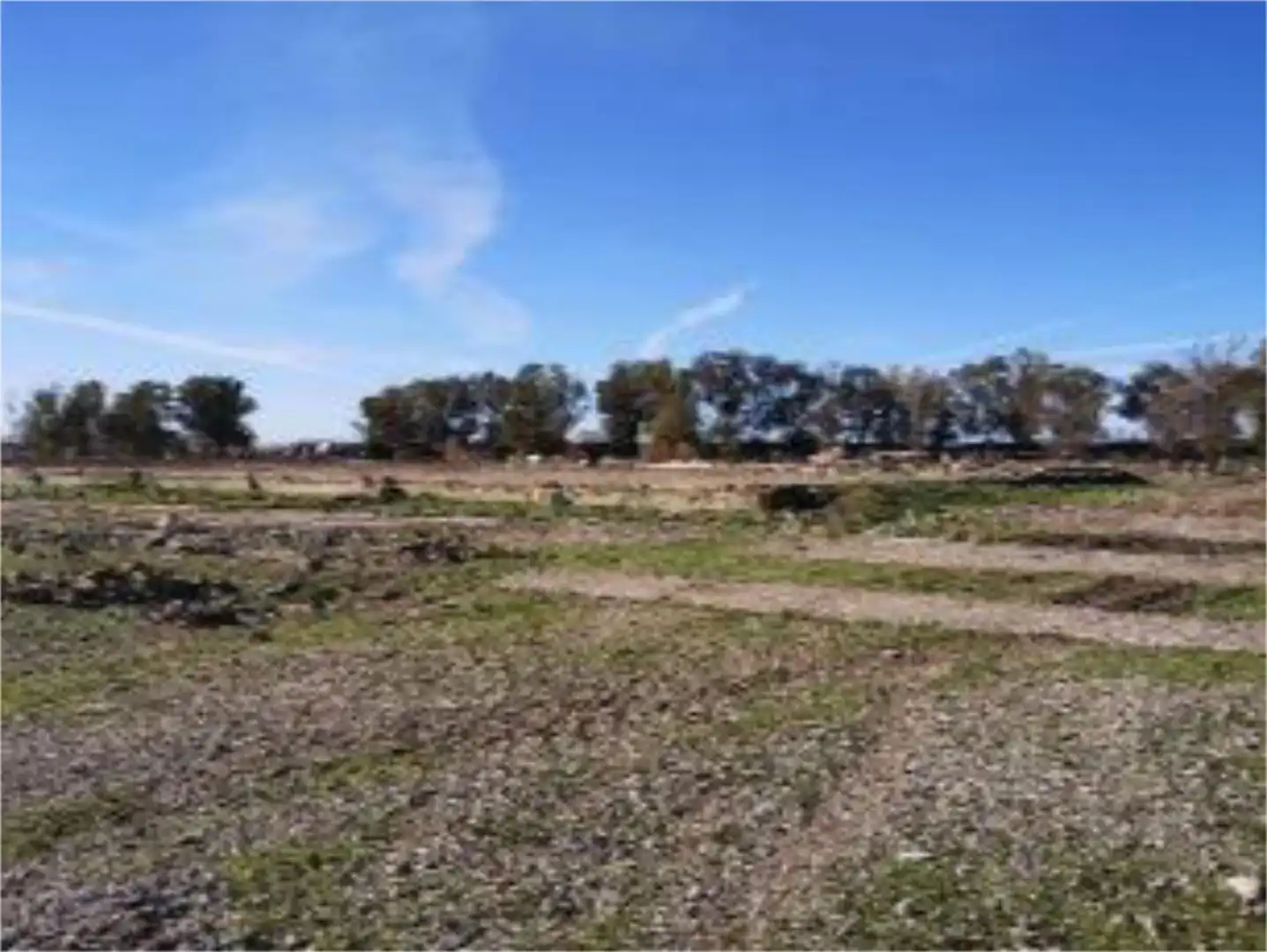 Terreno industrial en venta en Travesia Jerez Carta II, 4, Arcos de la Frontera Terreno industrial en venta en Arcos de la Frontera