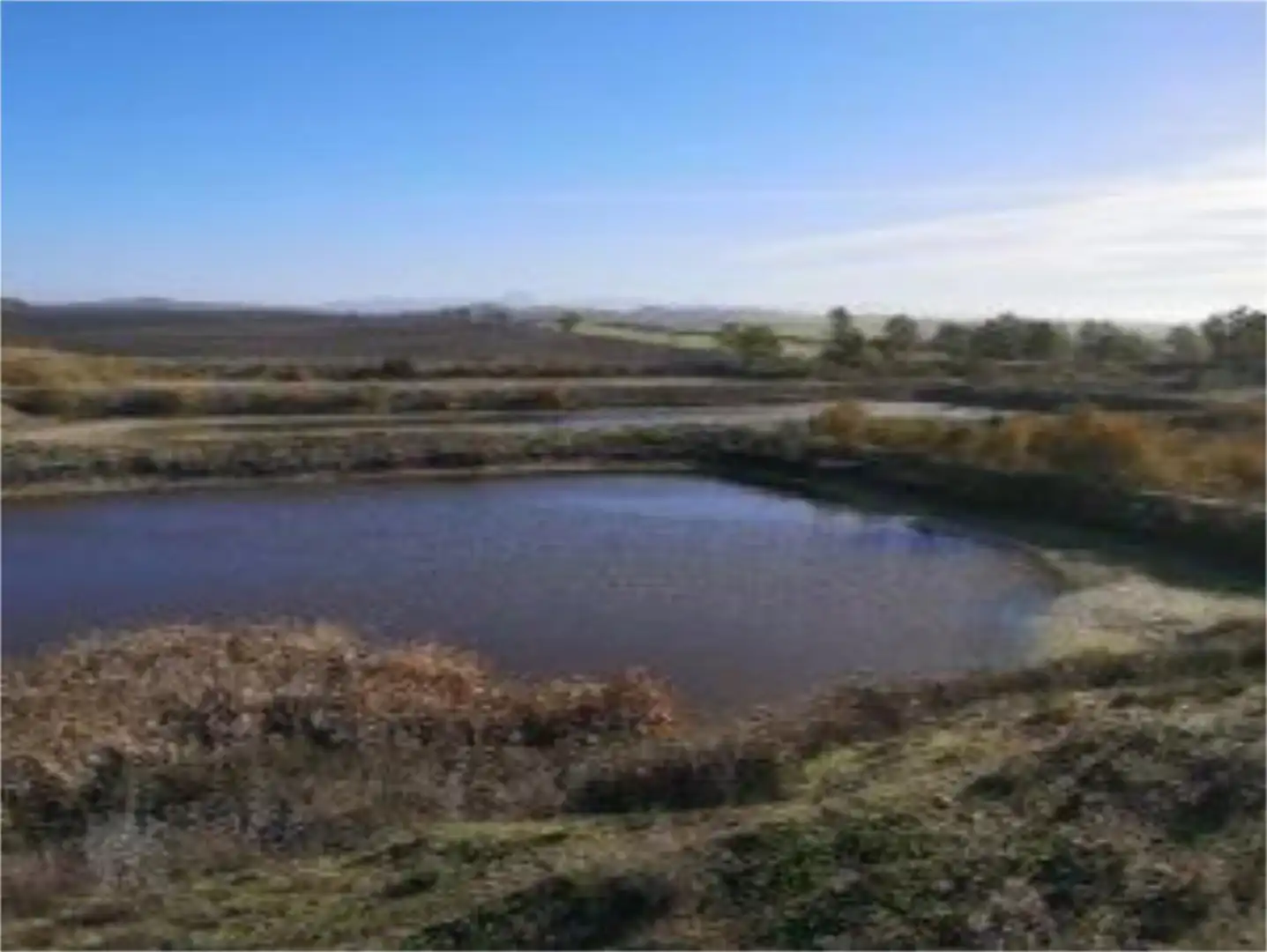 Terreno industrial en venta en Travesia Jerez Carta II, 4, Arcos de la Frontera Terreno industrial en venta en Arcos de la Frontera
