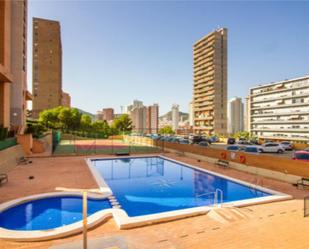 Swimming pool of Apartment for sale in Benidorm