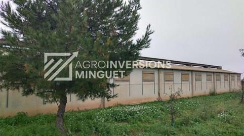 Foto 4 de Finca rústica en venda a Travessia de Sant Ramon, 18, Artesa de Lleida, Lleida