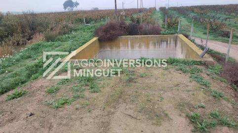 Foto 5 de Finca rústica en venda a Travessia de Sant Ramon, 18, Artesa de Lleida, Lleida