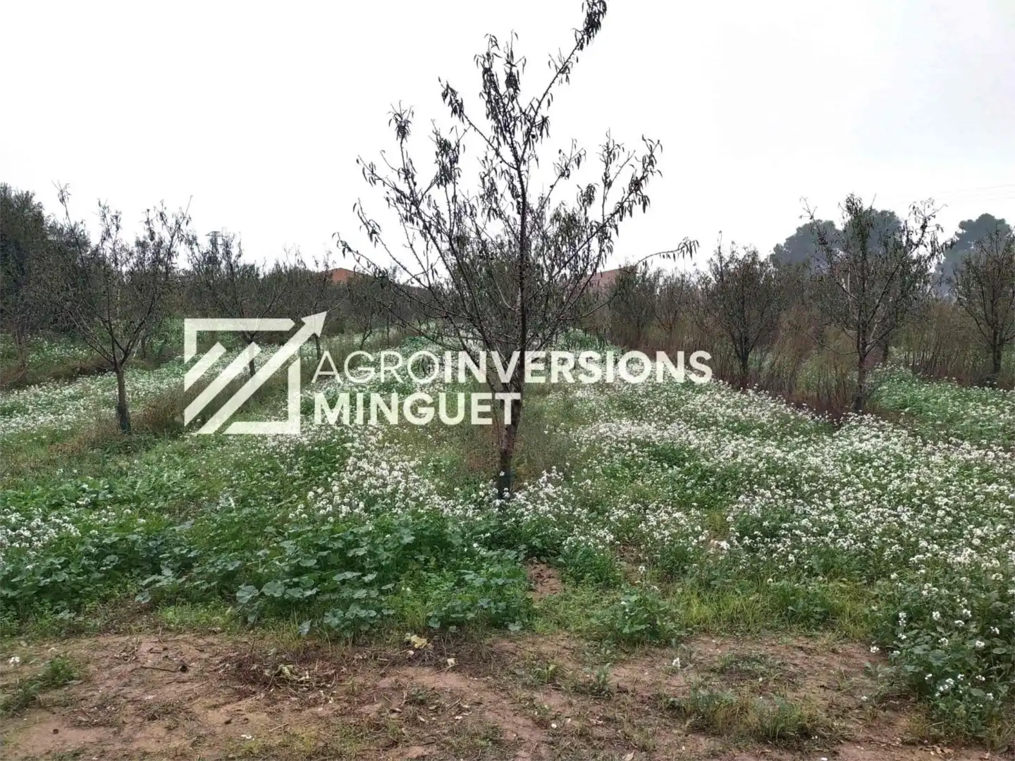 Piso en venta en Travessia de Sant Ramon, 18, Artesa de Lleida Piso en venta en Artesa de Lleida con Jardín privado, Terraza y Piscina