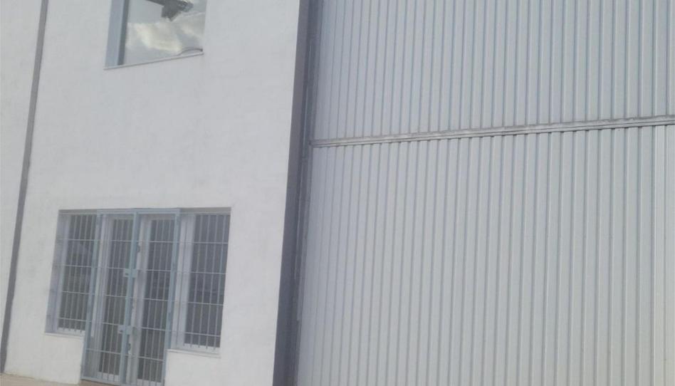 Premises to rent in Calle de las Utopías, S/n, Pelagatos - Pago del Humo, Cádiz - image 1 Photo 1 of Premises to rent in Calle de las Utopías, S/n, Pelagatos - Pago del Humo, Cádiz