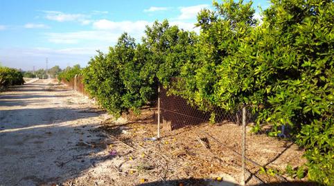 Photo 4 of Non-constructible Land for sale in Calle Duque de Pino Hermoso, 4, Benejúzar, Alicante