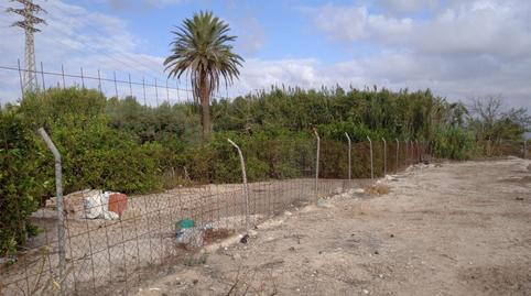 Photo 5 of Non-constructible Land for sale in Calle Duque de Pino Hermoso, 4, Benejúzar, Alicante