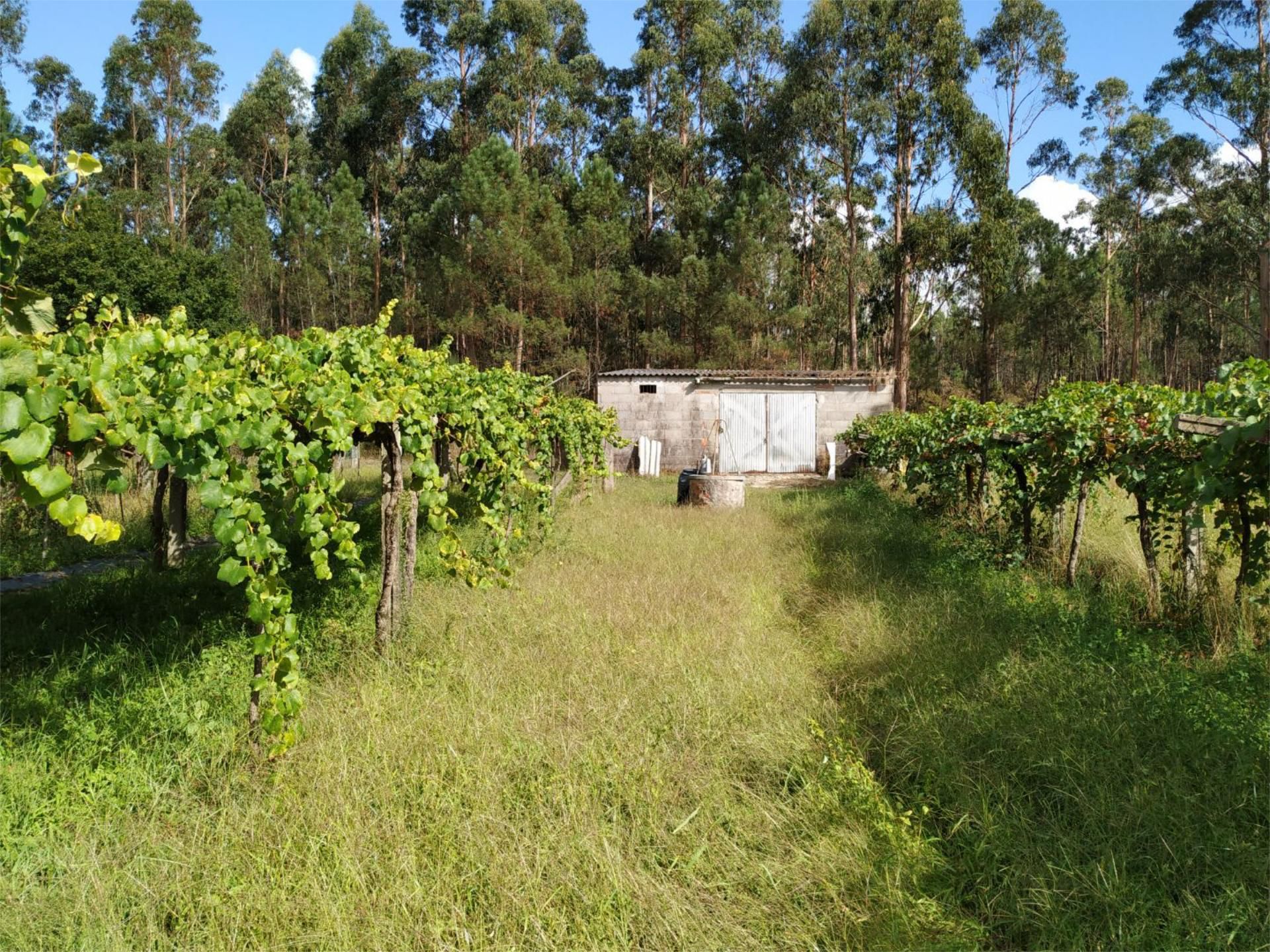 Terreno en venta en Vilanova de Arousa