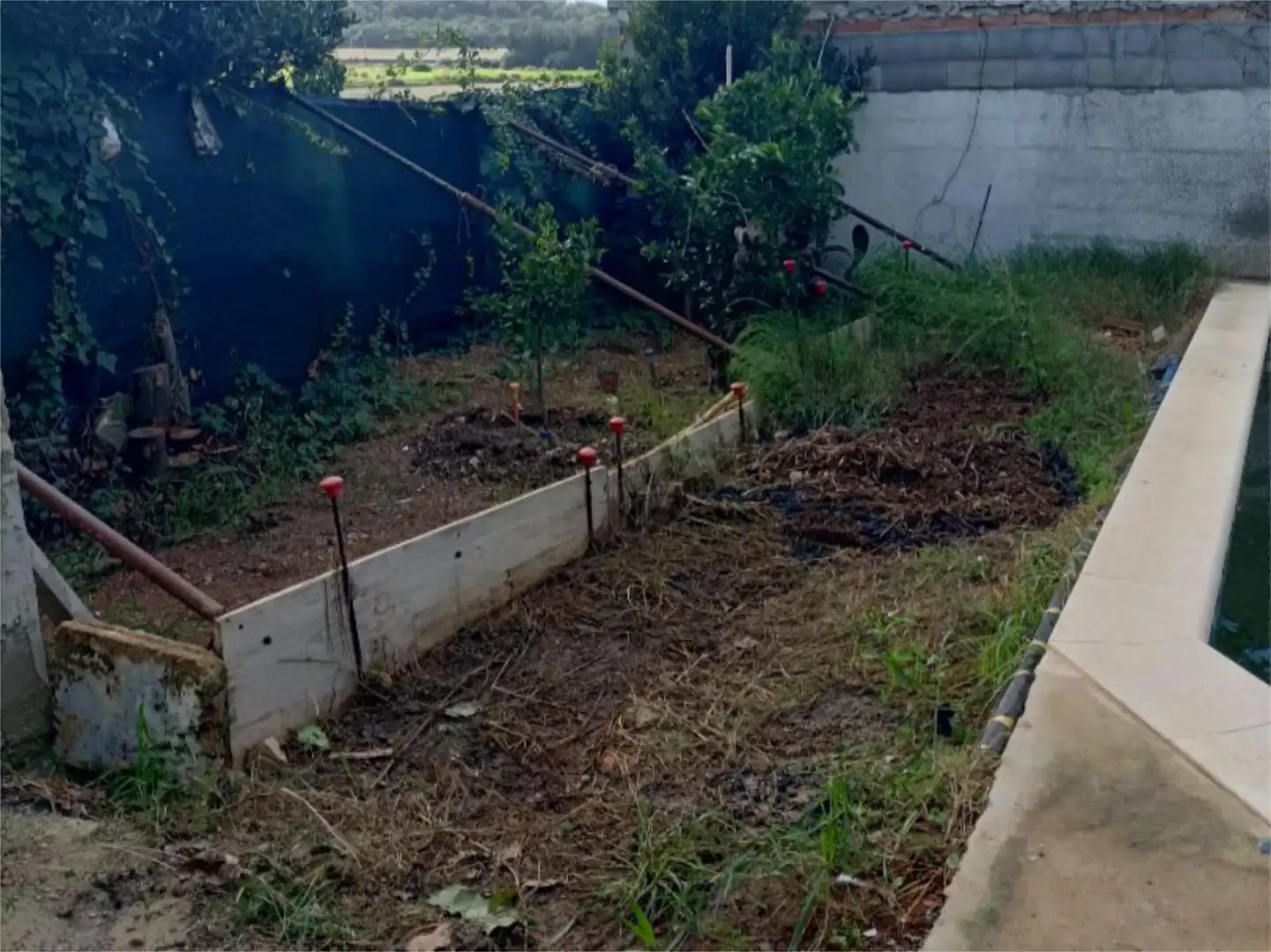Houses for sale in Vilafranca de Bonany  with Terrace and Swimming Pool