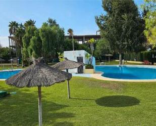 Piscina de Casa o xalet de lloguer en Chiclana de la Frontera amb Terrassa, Traster i Piscina