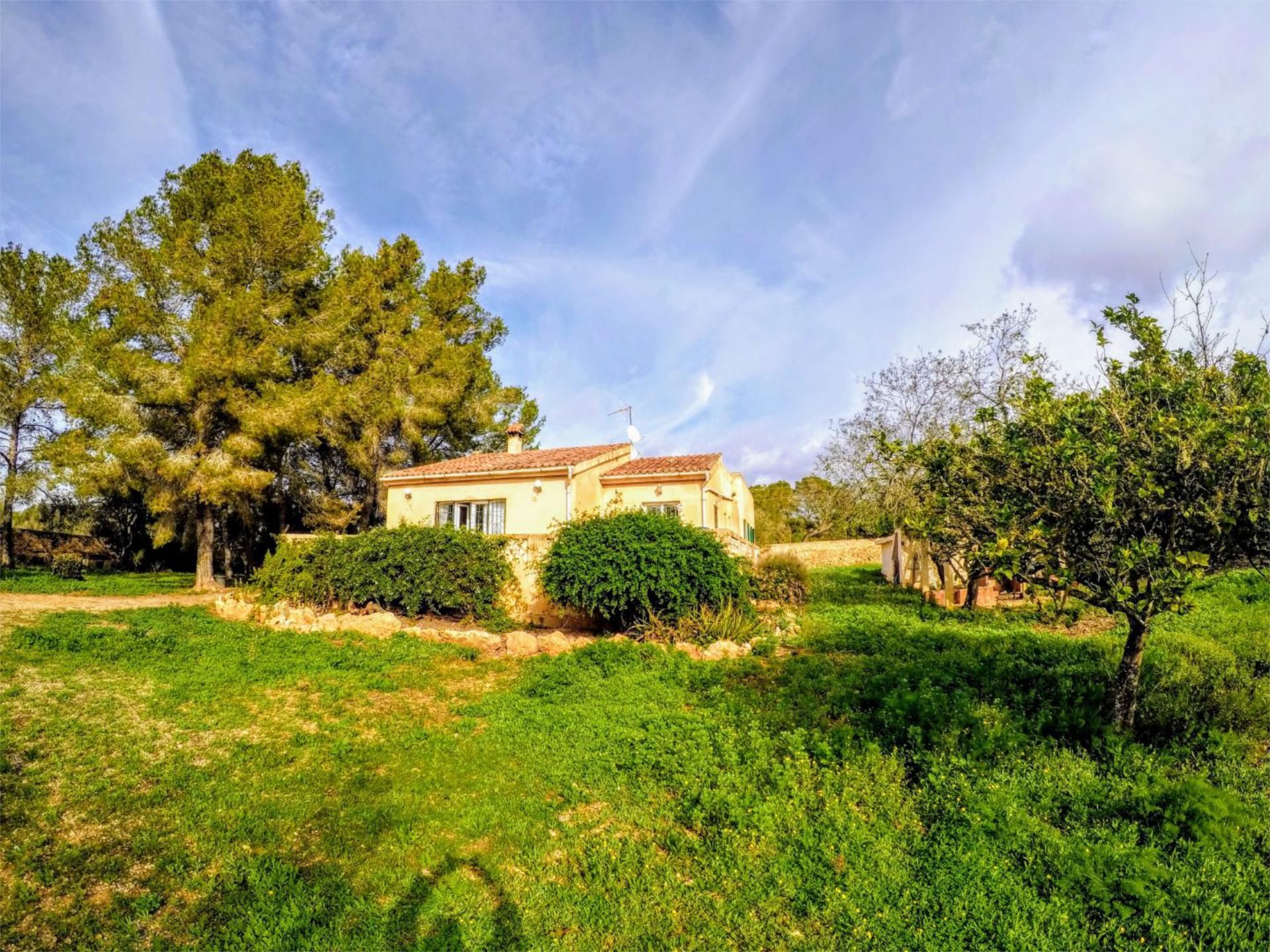 Garden of Flat for sale in Llucmajor  with Air Conditioner, Private garden and Terrace