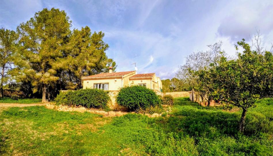Flat for sale in Cami Des Camp Pelat, 60, Llucmajor pueblo, Illes Balears - image 1 Photo 1 of Flat for sale in Cami Des Camp Pelat, 60, Llucmajor pueblo, Illes Balears