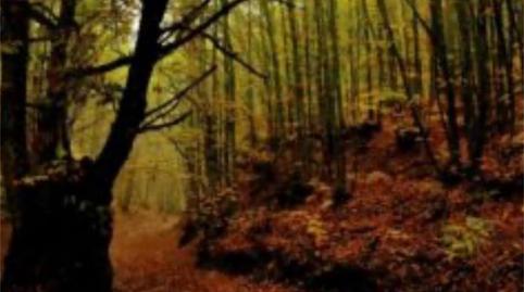 Photo 4 of Country house for sale in Calle Oscura, 1, Gata, Cáceres