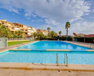 Swimming pool of Flat to rent in Torrevieja  with Furnished and Community pool