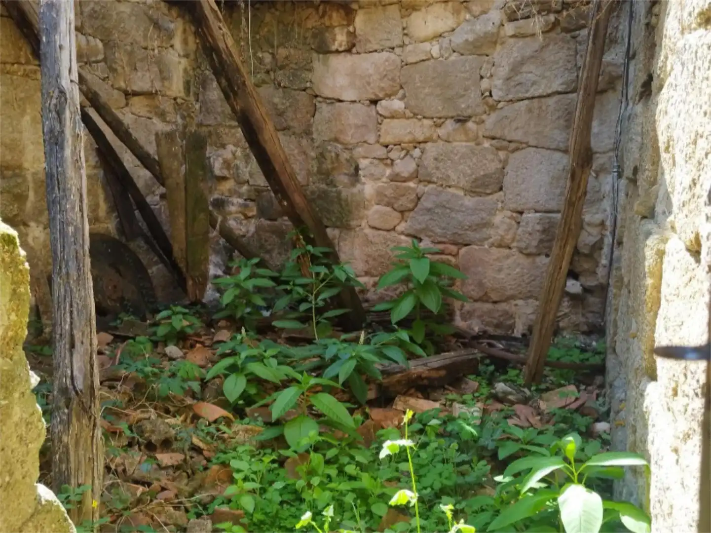 Jardín de Urbanizable en venta en Barbadás