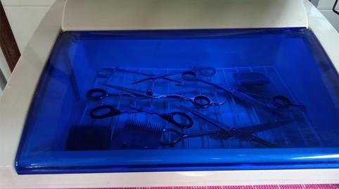 Photo 2 of Premises to rent in Calle Filomena Ayuso Alpañez, 7, El Palmar, Murcia