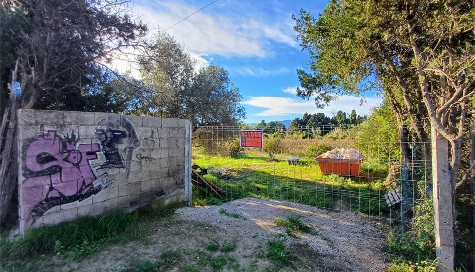 Nicht bebaubares Gelände zum Verkauf in Arrabal Pedregals Norte, 51, Daimús, Valencia - Bild 1 Foto 1 von Nicht bebaubares Gelände zum Verkauf in Arrabal Pedregals Norte, 51, Daimús, Valencia