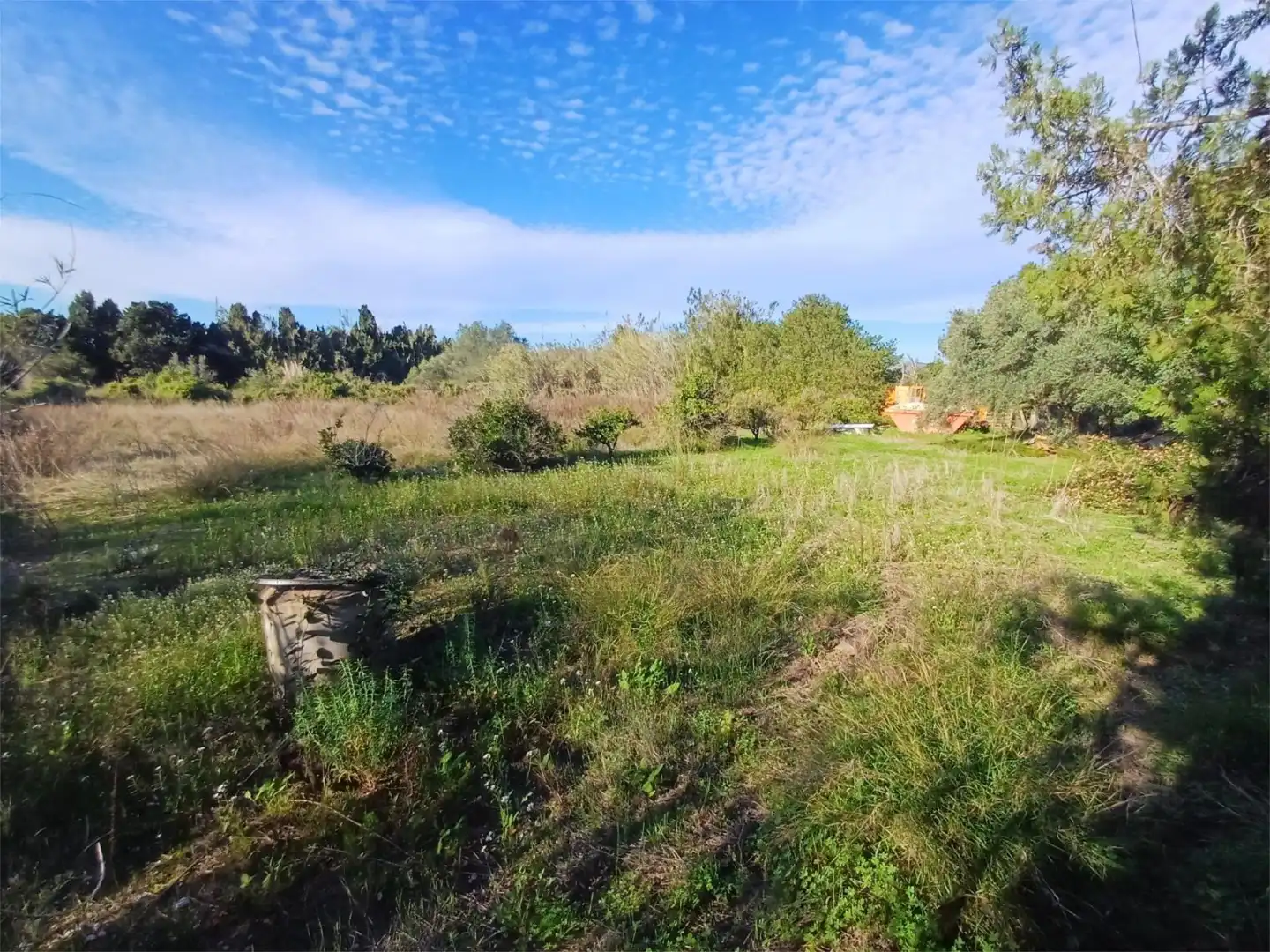 Non-constructible Land for sale in Daimús