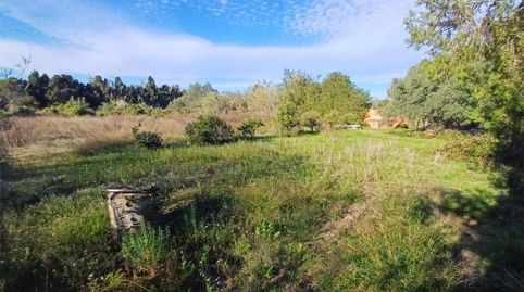 Nicht bebaubares Gelände zum Verkauf in Arrabal Pedregals Norte, 51, Daimús, Valencia - Bild 4 Foto 4 von Nicht bebaubares Gelände zum Verkauf in Arrabal Pedregals Norte, 51, Daimús, Valencia