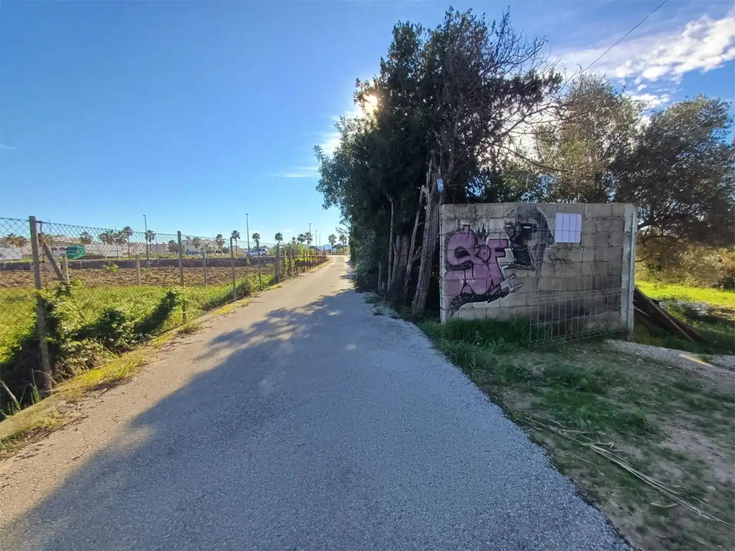 Exterior view of Non-constructible Land for sale in Daimús