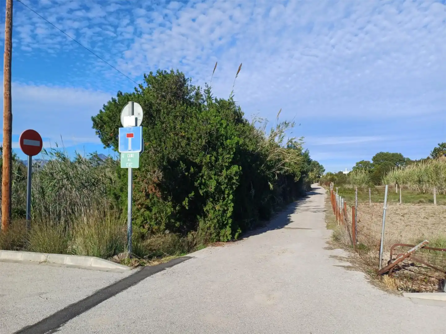 Exterior view of Non-constructible Land for sale in Daimús