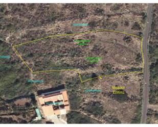 Land for sale in Icod de los Vinos