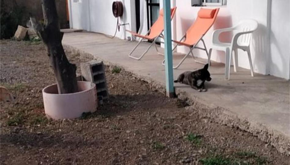 Planta baixa en venda a Camino de el Salto, 10, El Escobonal - Pájara, Santa Cruz de Tenerife - imatge 1 Foto 1 de Planta baixa en venda a Camino de el Salto, 10, El Escobonal - Pájara, Santa Cruz de Tenerife