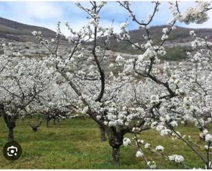 Jardí de No Urbanitzable en venda en Navaconcejo