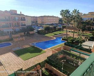 Swimming pool of Flat for sale in Llucmajor