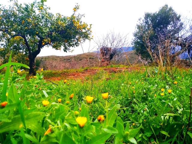 Terreno en Venta en Travesía Cantarrana, 24 en Ardales