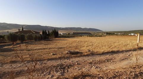 Non-constructible Land for sale in Avenida Fuente Piedra, 13, Sierra de Yeguas, Málaga - image 2 Photo 2 of Non-constructible Land for sale in Avenida Fuente Piedra, 13, Sierra de Yeguas, Málaga