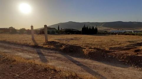 Non-constructible Land for sale in Avenida Fuente Piedra, 13, Sierra de Yeguas, Málaga - image 3 Photo 3 of Non-constructible Land for sale in Avenida Fuente Piedra, 13, Sierra de Yeguas, Málaga