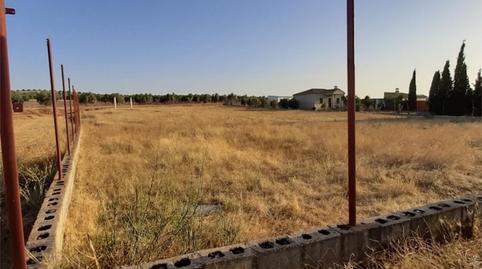 Non-constructible Land for sale in Avenida Fuente Piedra, 13, Sierra de Yeguas, Málaga - image 4 Photo 4 of Non-constructible Land for sale in Avenida Fuente Piedra, 13, Sierra de Yeguas, Málaga