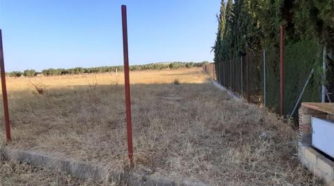 Non-constructible Land for sale in Avenida Fuente Piedra, 13, Sierra de Yeguas, Málaga - image 5 Photo 5 of Non-constructible Land for sale in Avenida Fuente Piedra, 13, Sierra de Yeguas, Málaga