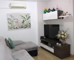 Living room of Flat for sale in Alicante / Alacant  with Air Conditioner, Heating and Private garden