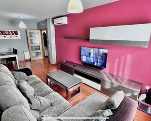 Living room of Flat for sale in Plasencia  with Air Conditioner, Heating and Parquet flooring