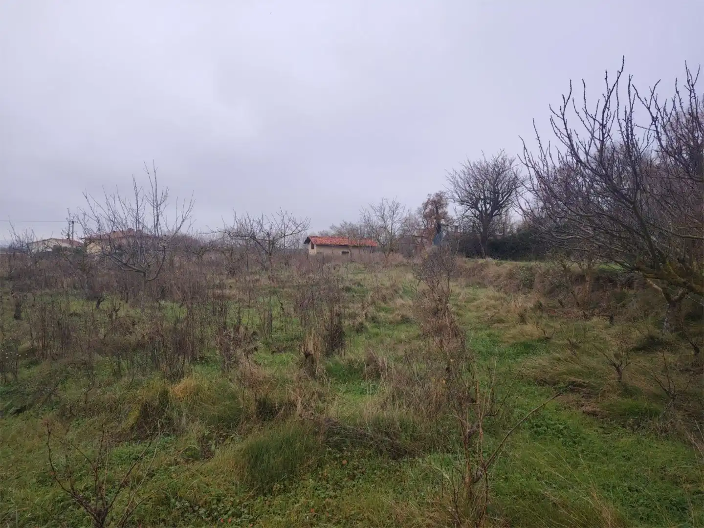 Land for sale in Leza
