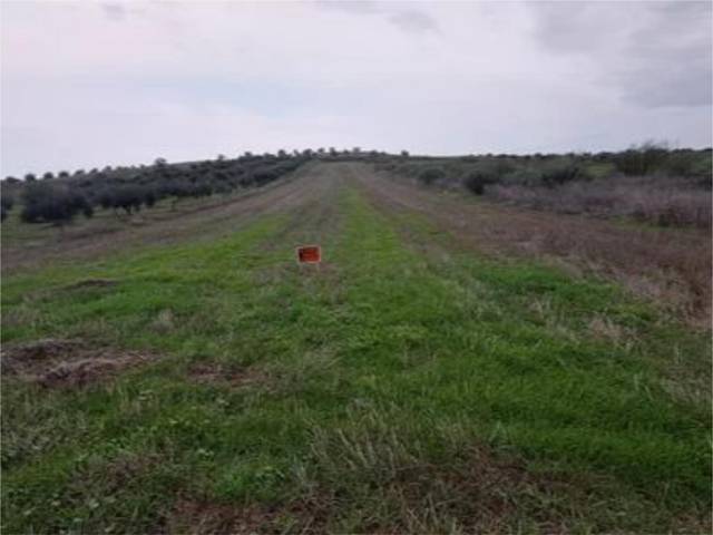 Terreno en Venta en Carretera Montijo-Mérida, 3 en Esparragalejo