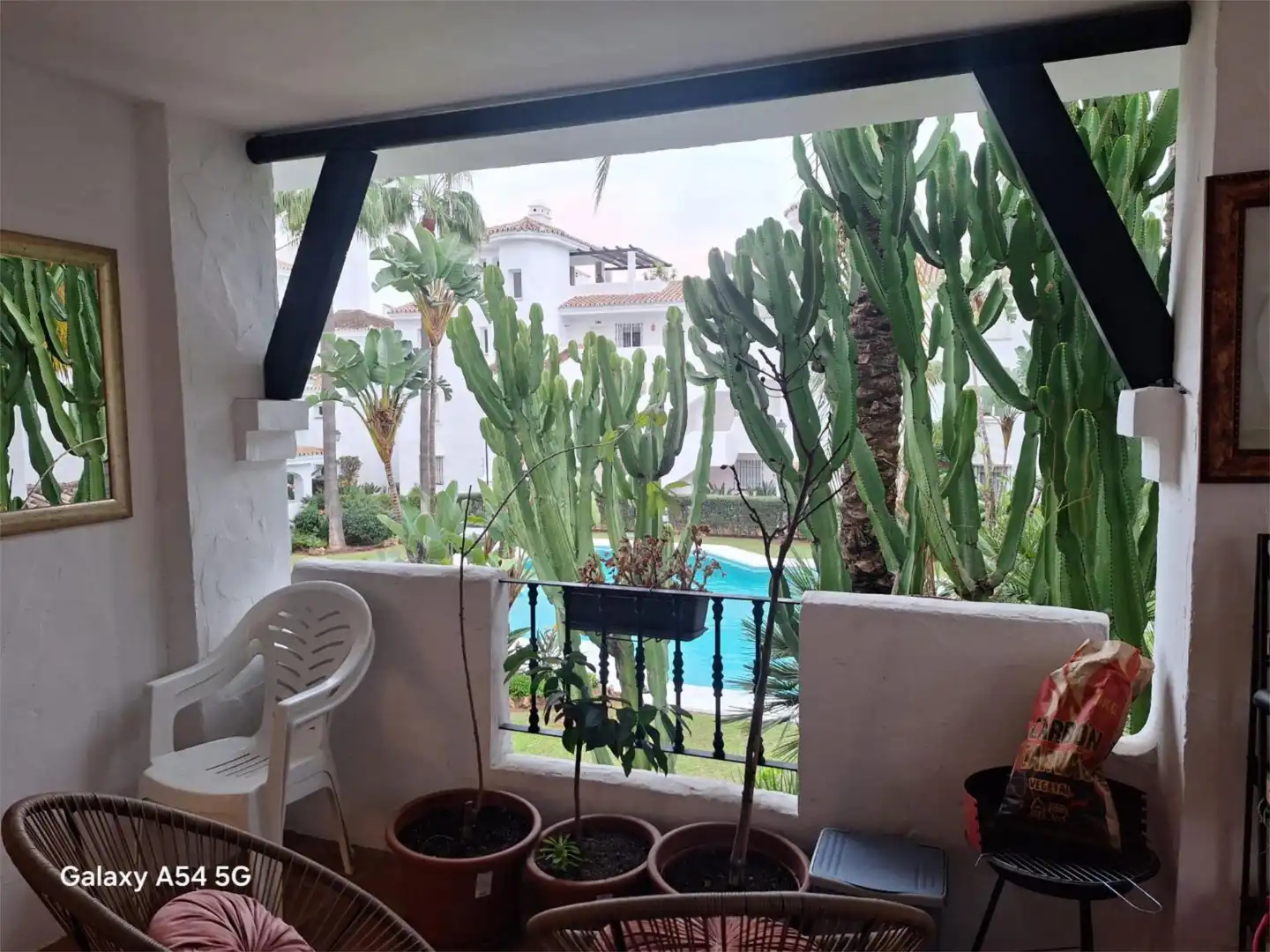 Pis de lloguer a Urbanización Los Naranjos de Marbella, 399, La Dama de Noche - La Alzambra Jardí de Pis de lloguer en Marbella amb Aire condicionat, Terrassa i Piscina