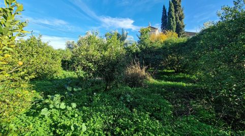 Foto 5 de Terreno en venta en Vereda del Chocolate, 33, Los Ramos, Murcia Capital