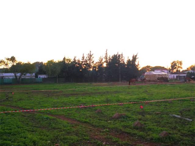 Finca rústica en Venta en Calle Gertrudis Bustillo Ortiz, 13 en Parque Atlántico - Ronda este