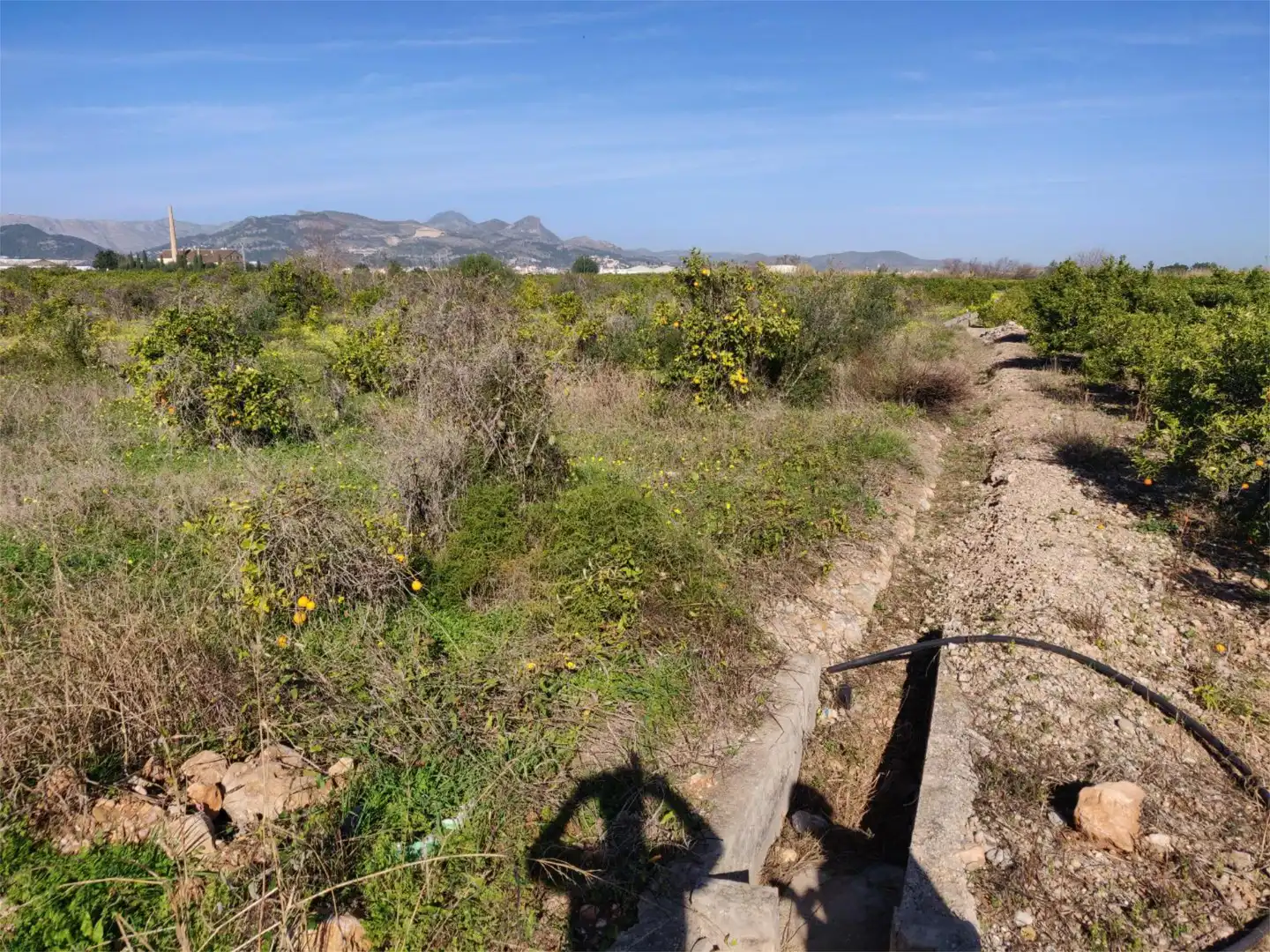 Finca rústica en venta en La Font d'en Carròs