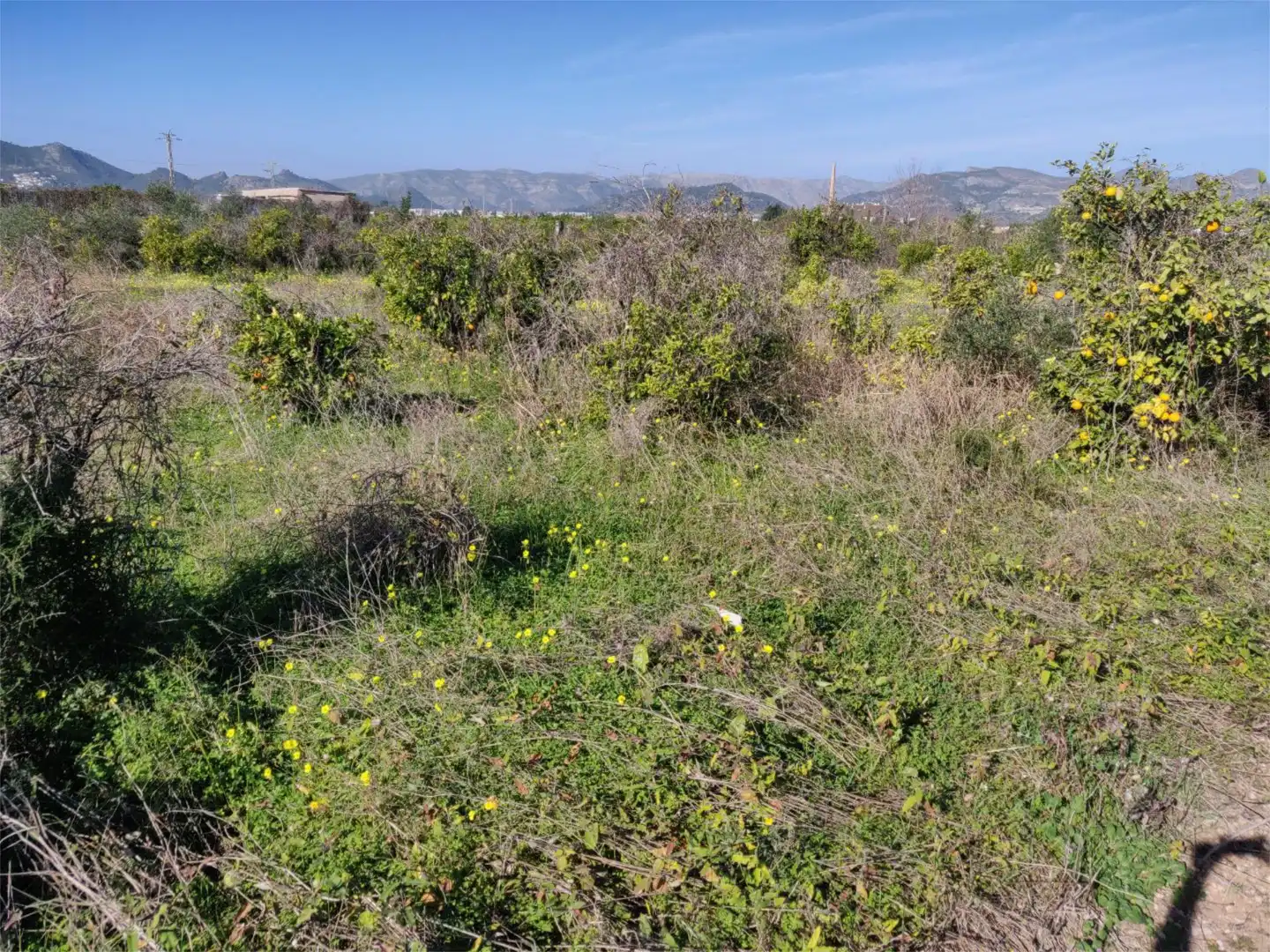 Finca rústica en venta en La Font d'en Carròs