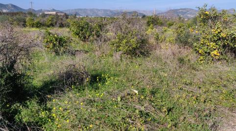 Country house for sale in Partida Emes, 3, La Font d'en Carròs, Valencia - image 4 Photo 4 of Country house for sale in Partida Emes, 3, La Font d'en Carròs, Valencia