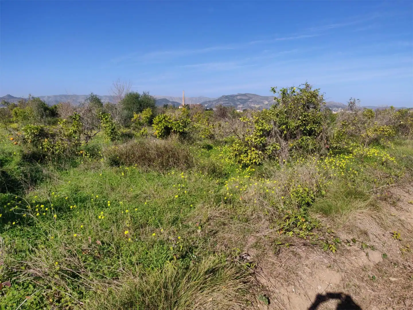 Finca rústica en venta en La Font d'en Carròs