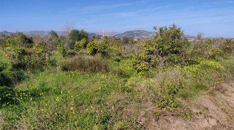Country house for sale in Partida Emes, 3, La Font d'en Carròs, Valencia - image 5 Photo 5 of Country house for sale in Partida Emes, 3, La Font d'en Carròs, Valencia